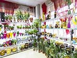 Диантус на Новой, цветочный магазин